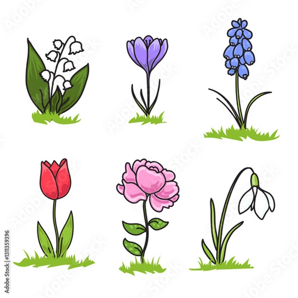 Fototapeta Early spring flowers drawing for children, Snowdrop, Crocus, Hyacinth, Tulip, Peony, Lily-of-the-valley on white