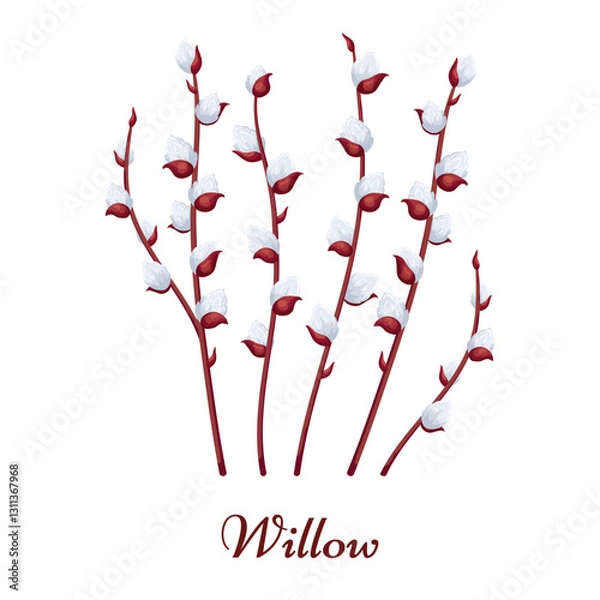 Fototapeta Collection of willow branches with silky buds on a white background. Perfect for botanical prints, spring card designs, posters, invitations, Easter flyers