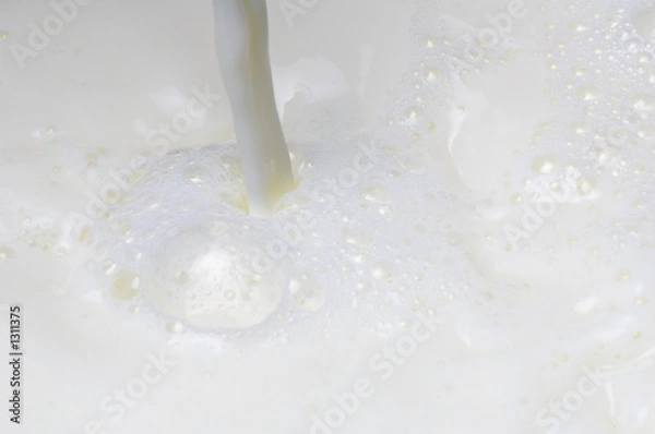 Obraz milk
