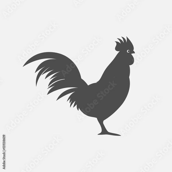 Fototapeta Vector illustration of color flat silhouette of cock, rooster