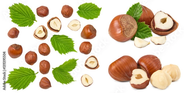 Obraz hazelnuts with green leaf isolated on white background macro. clipping path