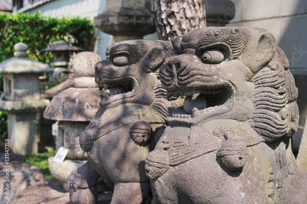 Fototapeta 狛犬