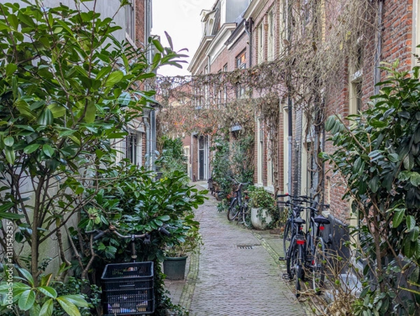 Fototapeta Tiny, but stylish road for pedestrians and for bicycle in Haarlem, Netherlands