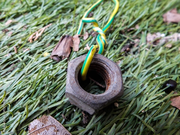 Fototapeta screw grass