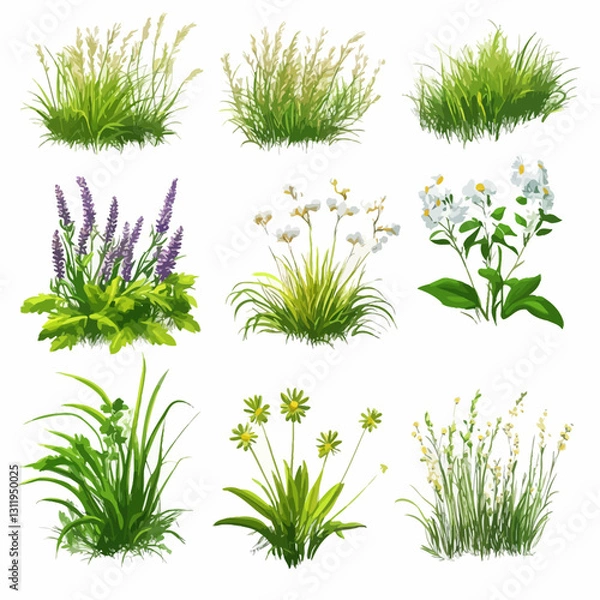 Fototapeta Variety of grass and flower tufts for landscaping or graphic elements