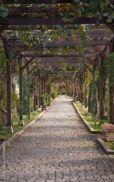 Fototapeta An ancient stone-paved path under a wooden pergola covered with vines and tropical plants. The sun's rays penetrate through the leafy alley-pergola. Perspective