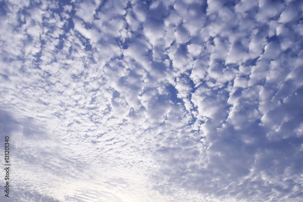 Fototapeta blue sky with cloud closeup