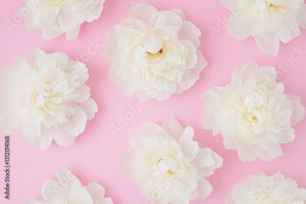 Fototapeta Flat lay pattern, white peonies on a pastel pink background.   Valentine's Day and Mother's Day Concept.