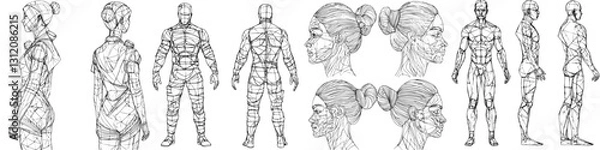 Obraz Exploring detailed human anatomy models for art and animation in a creative studio setting