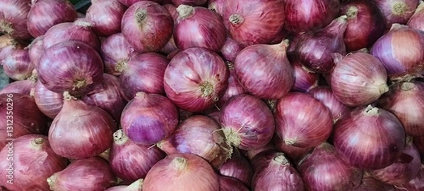 Fototapeta Big onions, also called bulb onions or common onions, are one of the most widely used vegetables around the world.