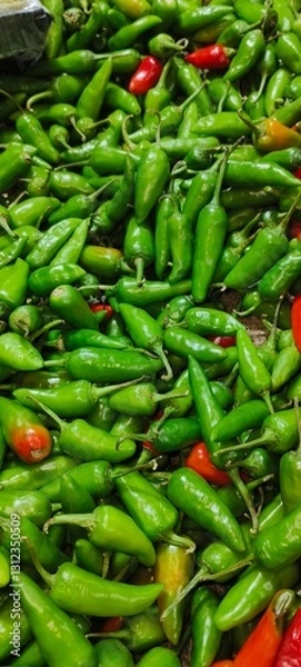 Fototapeta green stage of chili peppers (Capsicum annuum or Capsicum frutescens species), widely used in cooking for their spicy heat and sharp flavor
