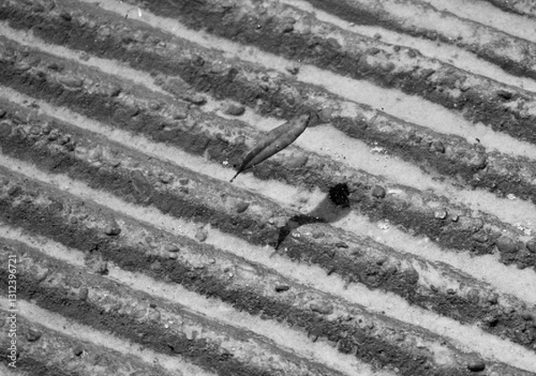 Obraz Rugged boat launch with crystal clear water floating small leaf