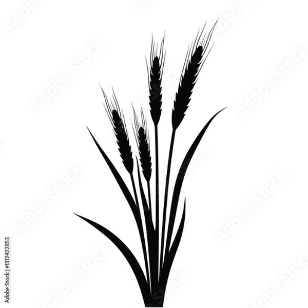 Obraz Elegant wheat silhouette against white background, simplicity and nature