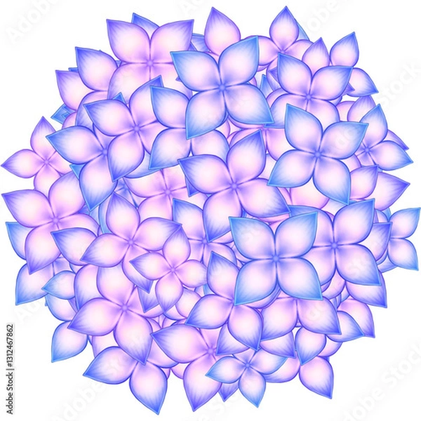 Obraz Hydrangea, flowers illustration 