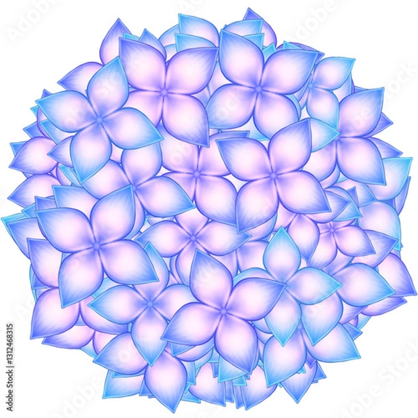 Obraz Hydrangea flower, illustration 