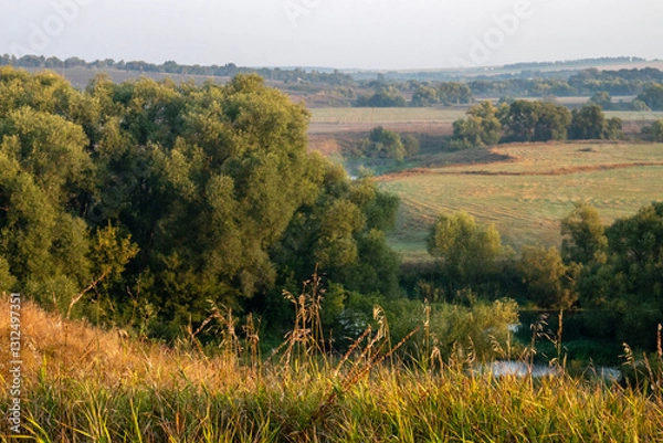 Obraz View of the river valley from the top of the hill. The river valley on a sunny day in late summer. Trees grow along the river bed.