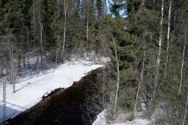 Fototapeta forest river in early spring on a sunny day