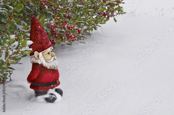 Fototapeta Gnome with red hat and suit standing in the snow/ Gnome with red hat and suit standing in the snow under a holly tree with red berries