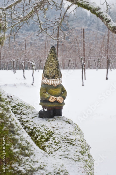 Fototapeta Gnome from backside looking into woods standing on snowy branch/Gnome with back to camera standing on snowy mossy tree branch looking out into snow covered woods