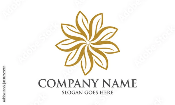 Obraz Elegant Abstract Circular Logo Image Vector