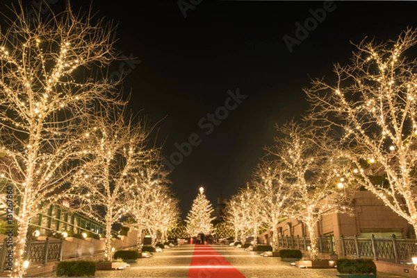 Obraz 恵比寿ガーデンプレイスイルミネーション
