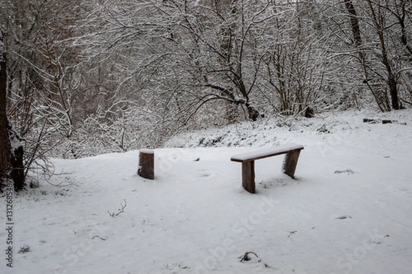 Obraz snow covered bench