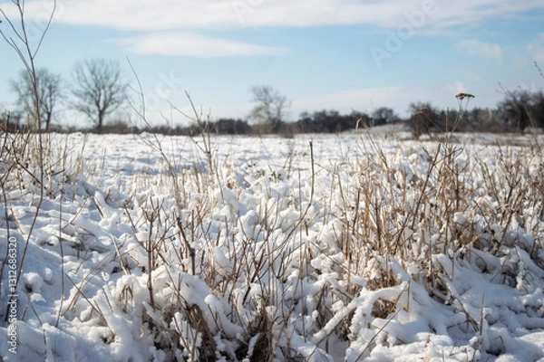 Obraz winter landscape with snow