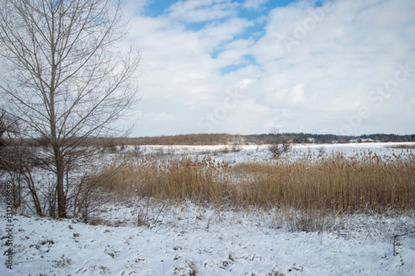 Obraz winter landscape with river