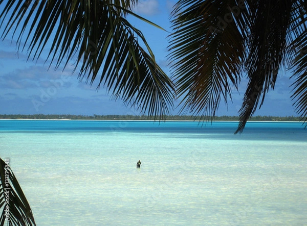 Obraz Alone in lagoon