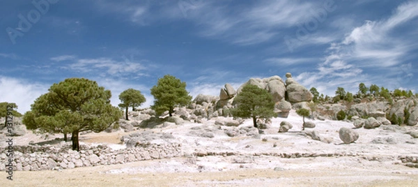 Obraz stones and trees