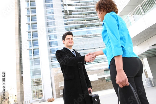 Fototapeta Business Team Handshake