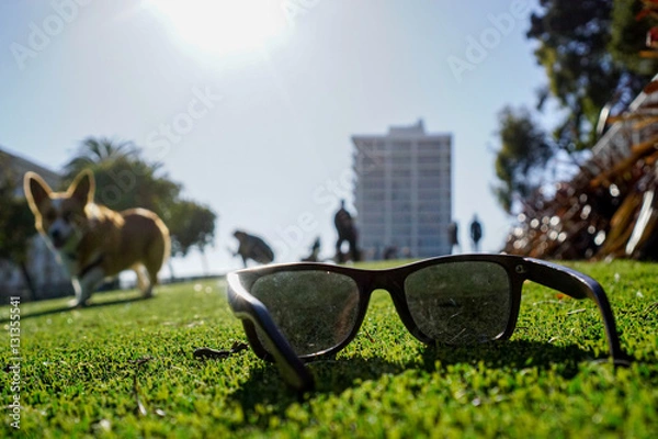 Obraz Relaxing at the park