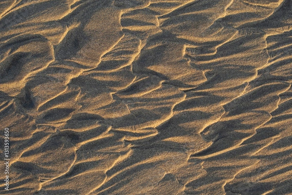 Fototapeta Ripples formed in golden sand under soft light, showcasing natural patterns and textures on a serene beach.