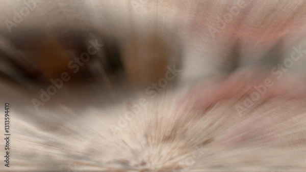 Fototapeta Epic Zoom Out Transitions