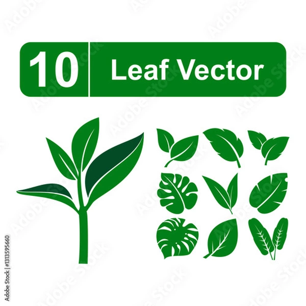 Obraz A collection of 10 leaf vectors. The leaf vectors are all green and are arranged in a variety of shapes and sizes