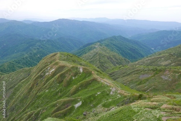 Fototapeta 尾根筋の登山道