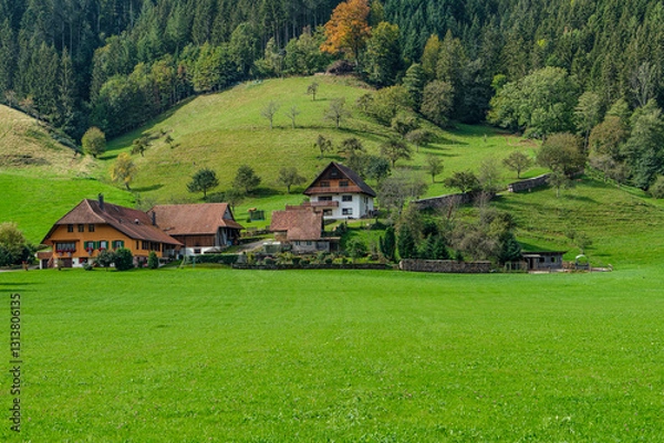 Obraz Wolfach, Schwarzwald