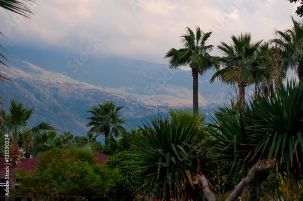 Fototapeta urban landscape with a mountain view