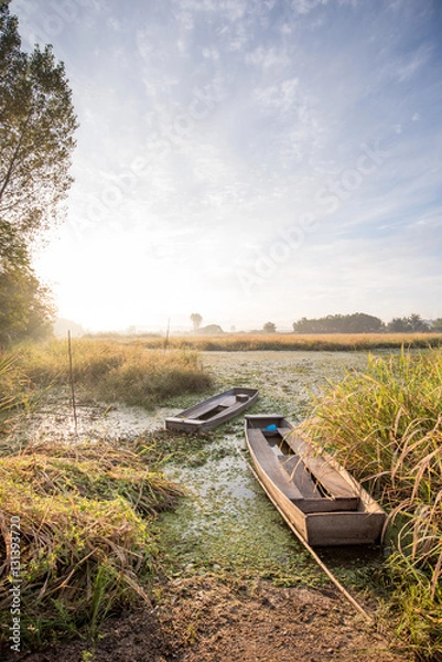 Obraz wetland boat2