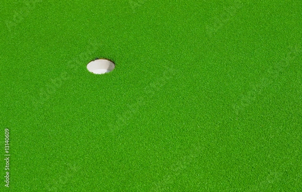 Obraz the green goal