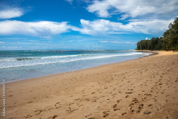 Fototapeta Beautiful beach with colorful water. Top view of the beautiful coastline. Sunny summer day. Colorful water. Sandy beach.	

