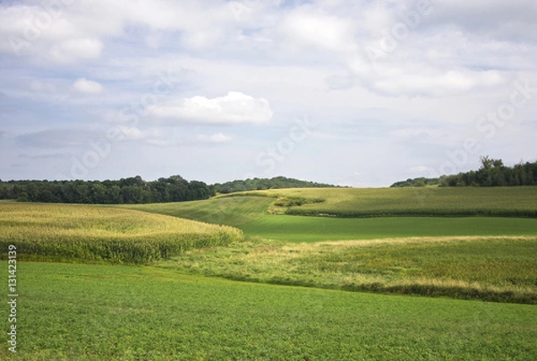 Fototapeta Midwest summer rural landscape. Rural landscape with cloudy sky over fields. Corn fields in Wisconsin, USA.
