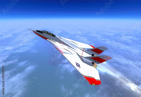 Obraz Grumman F-14 Tomcat