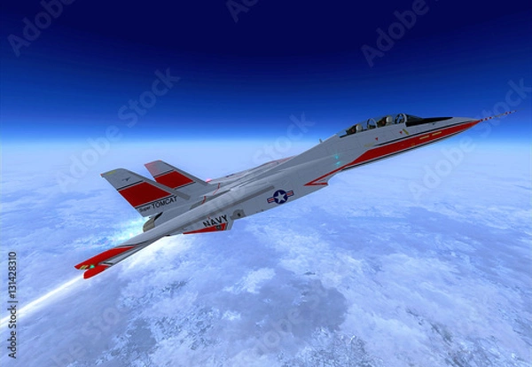 Obraz Grumman F-14 Tomcat