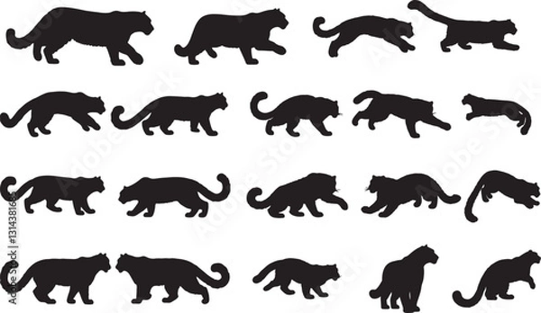 Fototapeta Snow Leopard Silhouette