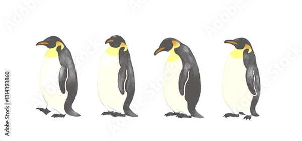 Fototapeta 一列に並ぶペンギン