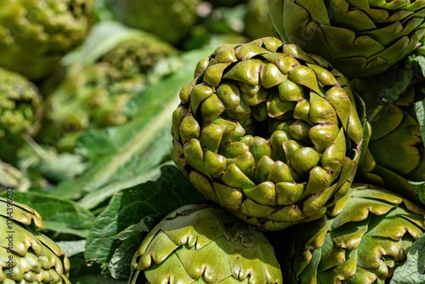 Obraz Organic Vegetable Artichoke in Bazaar