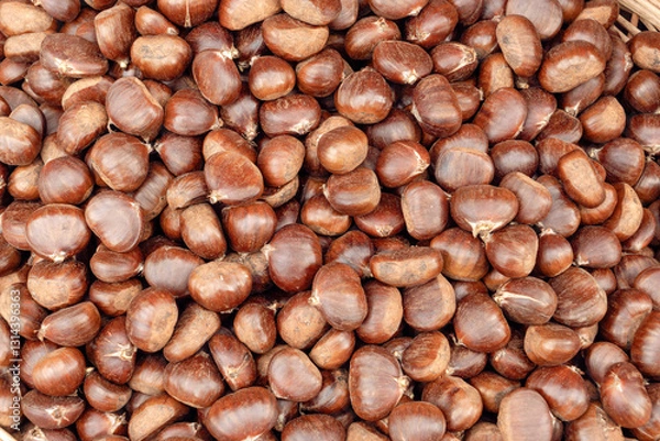 Obraz An Organic Fruit Group Chestnut