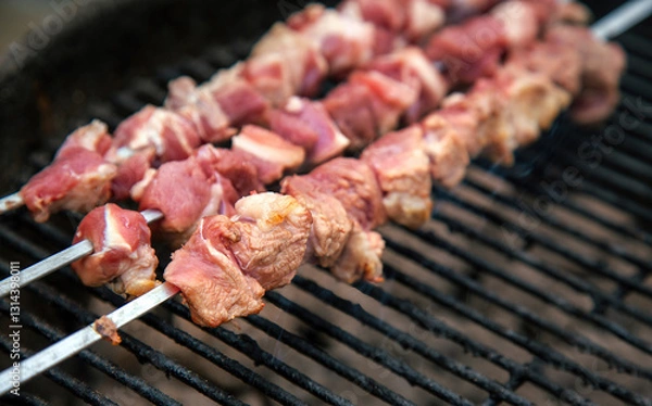 Obraz Raw Meat Food on Metallic Sticks