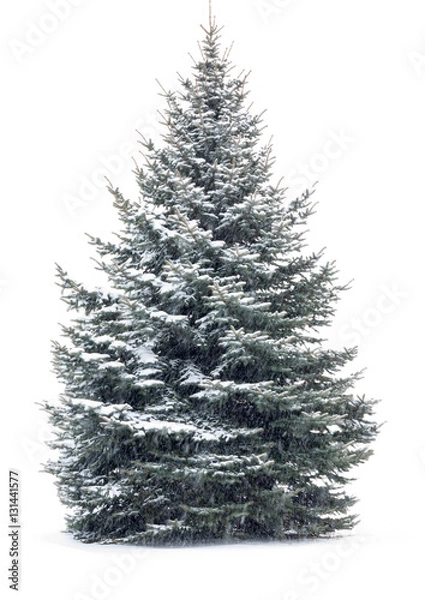 Obraz Drzewko świąteczne